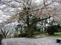 4月13日
