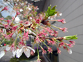 4月14日