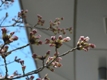 4月7日