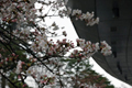 4月8日