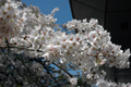 4月13日