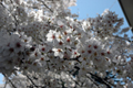 4月14日