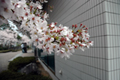 4月16日