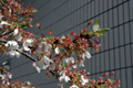 4月19日