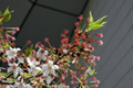 4月21日