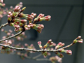 4月10日