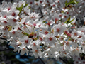 4月19日