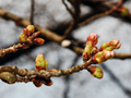 3月23日