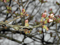 3月27日