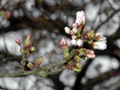3月29日
