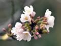 3月31日