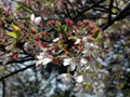 4月16日