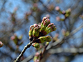 3月29日