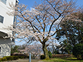 4月2日