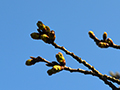 3月27日