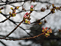 3月29日