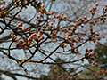 3月31日