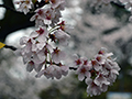 4月10日