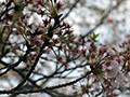4月16日