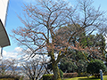 3月25日