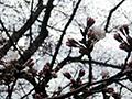 3月28日