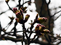 3月31日