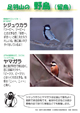 野鳥観察シート半面画像