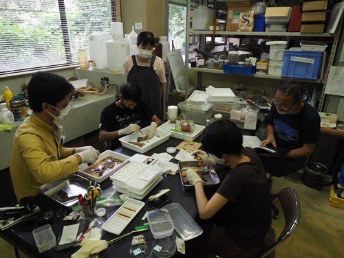 ������Ǝ�