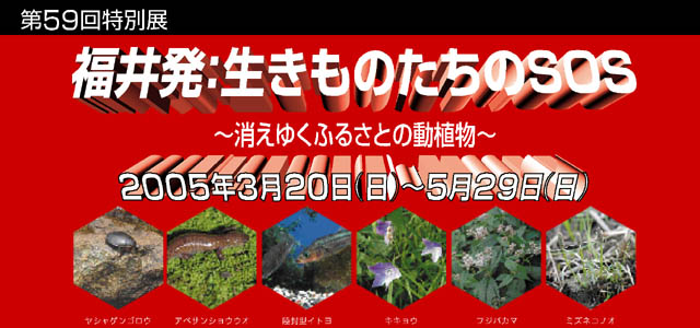 䔭F̂SOS `䂭ӂ邳Ƃ̓A`@2005N320ij529ij܂