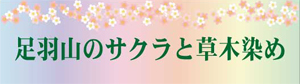 HR̃TNƑؐ