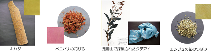 Ln_AxjoỉԁAHRō̏Wꂽ^fACAGW