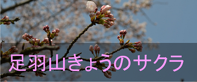 傤̃TN