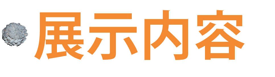 W̏Љ