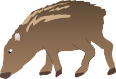 WЉ