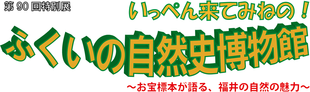 福井市自然史博物館 第90回特別展 ふくいの自然史博物館