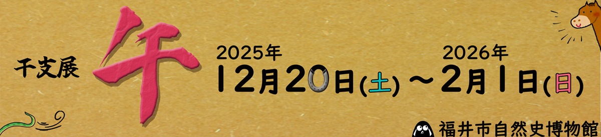 ���x�W�E��